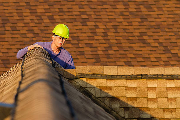 Best Roof Gutter Cleaning  in Fort Belvoir, VA